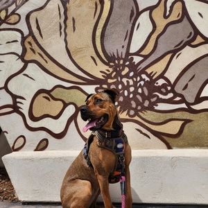 Meet your Posher, Suzanne